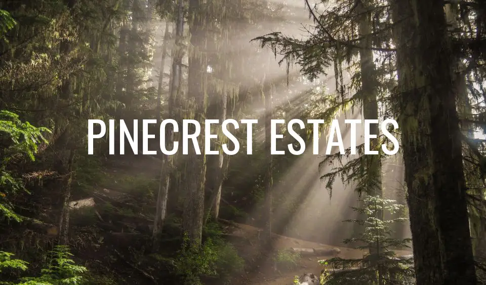Pinecrest Estates Whistler Home Renovation