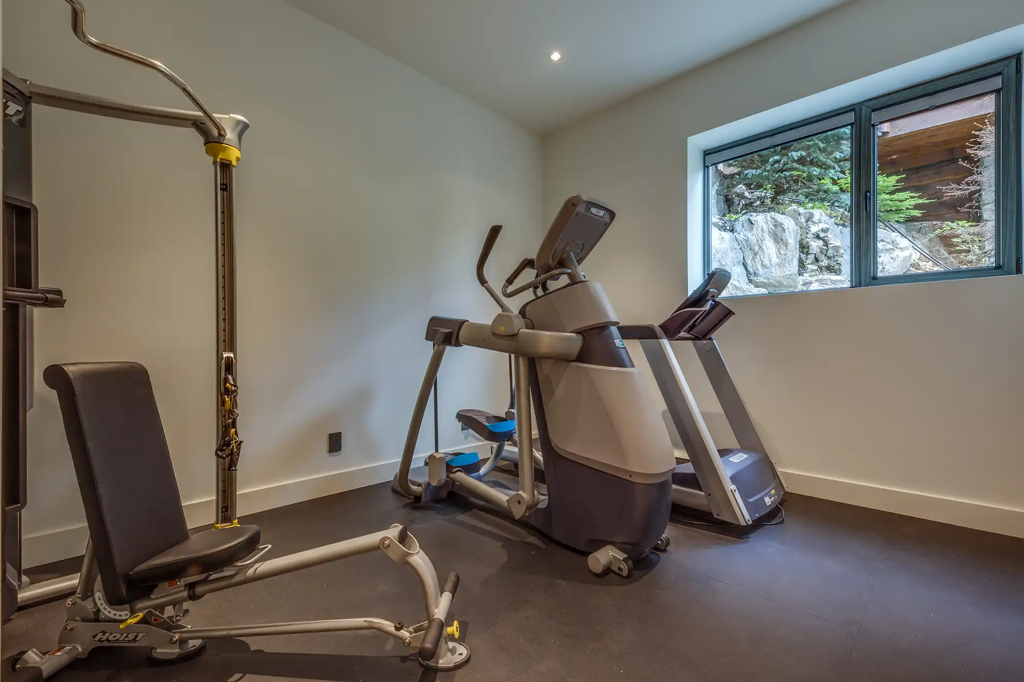 Blueberry Exercise Room