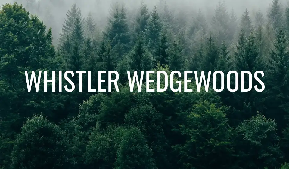 Whistler Wedgewood Luxury Home Build