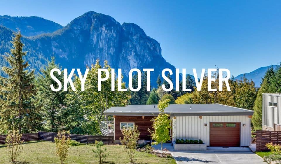Sky Pilot Silver Thumbnail